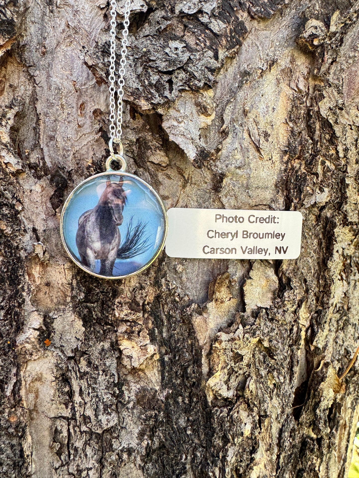 Carson Valley Horse Pendant